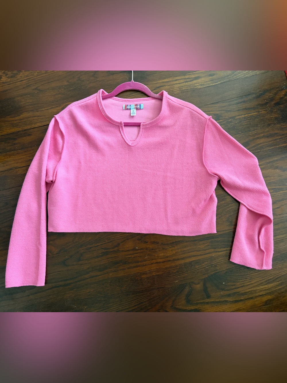 Urban outfitters Pink Cropped Long Sleeve Top with Notch Neck